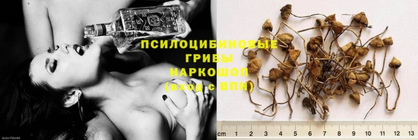 бошки Алексеевка