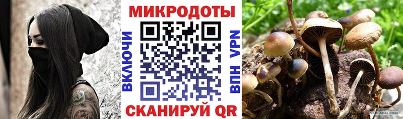 OMG ONION  Кызыл  Псилоцибиновые грибы MAGIC MUSHROOMS 