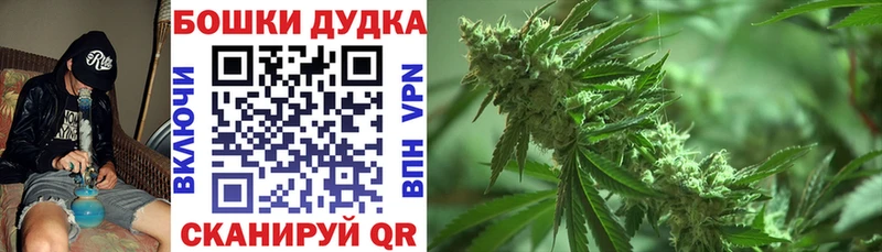 blacksprut зеркало  Кызыл  Каннабис сатива 